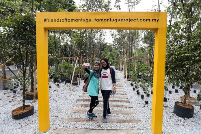 Taman Tugu hunts corporate cash to thrive