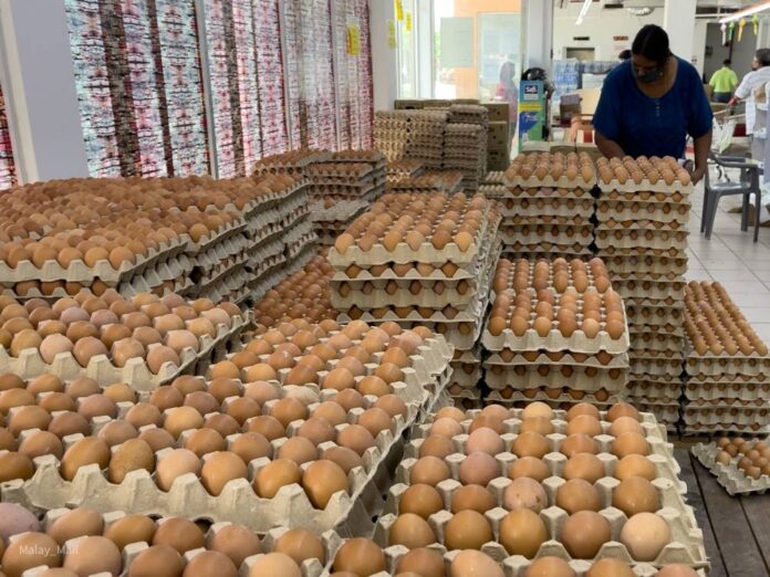 Report: Poultry farmers warn of worsening egg shortage