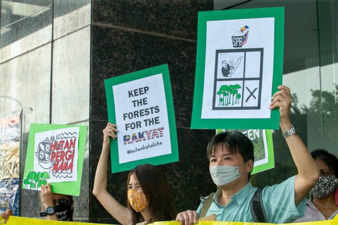 Green group seeks out Anwar's aid to save Shah Alam forest, claims snubbed by Selangor MB