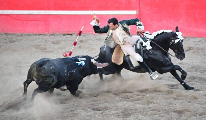 California's Portuguese community keeps bullfighting alive without bloodshed
