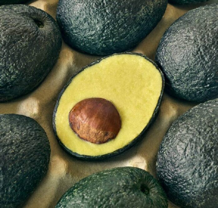 Smashed it! The Evocado is an eco-minded avocado alternative