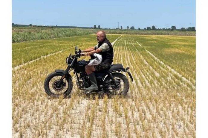 Italy's famous Po Valley rice paddies decimated by drought