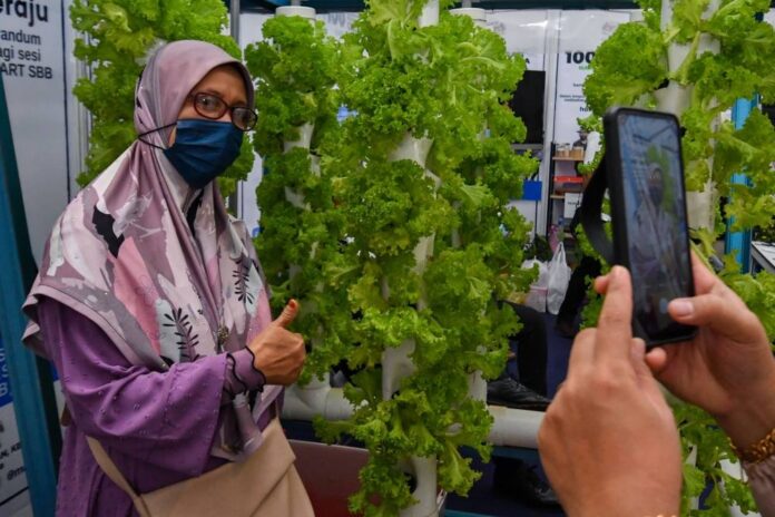 Kelantan Malaysian Family Aspirations Tour: Agriculture Ministry's booth pulls in crowds with hydroponic tower farms