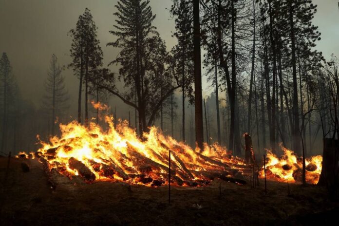 Thousands evacuated as California's Oak Fire grows quickly