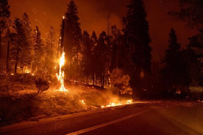 Thousands evacuated as California wildfire grows