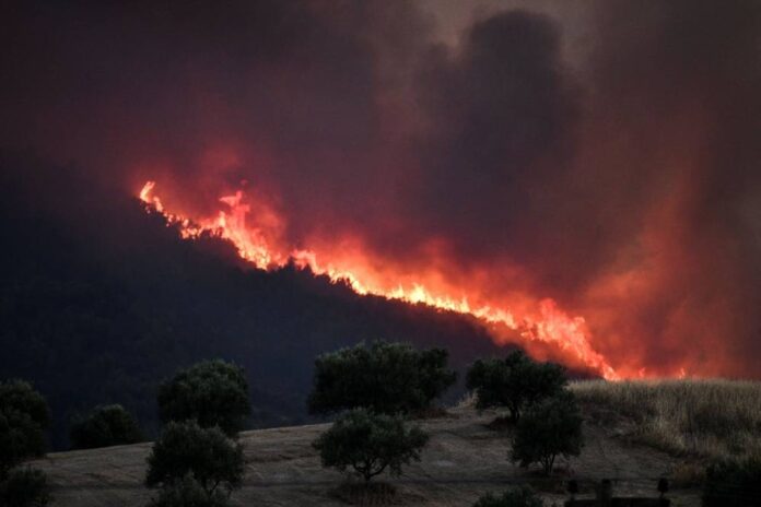 Wildfires burn coastal homes, forests in Greece as Europe's heatwave spreads east