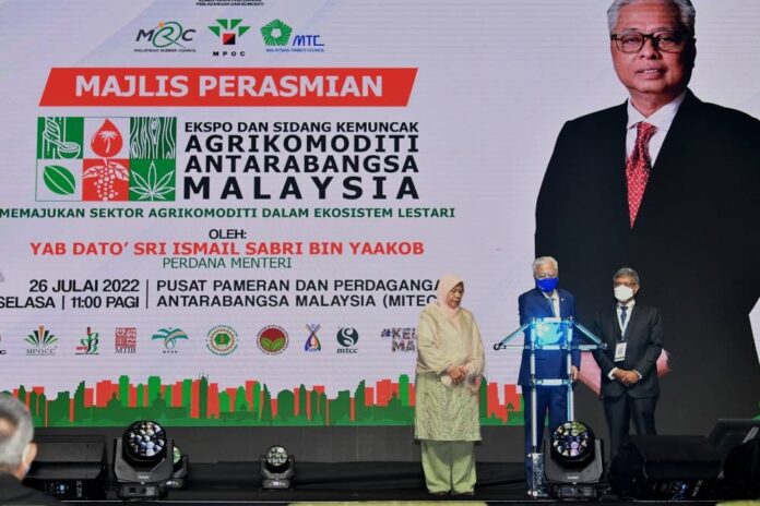 Drive circular economy to make Malaysia a biomass hub, says PM Ismail Sabri
