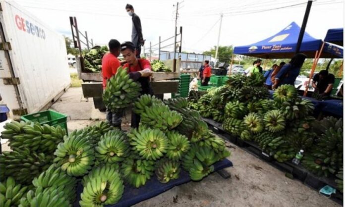 NRC: Fund for food loans to boost food production, reduce burden of inflation