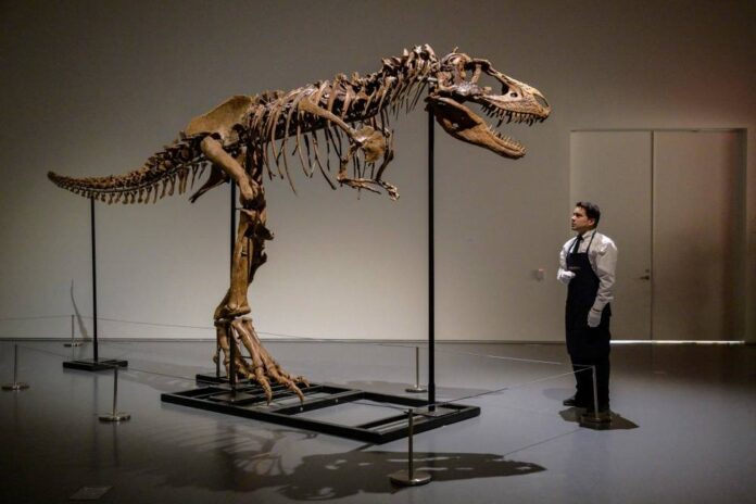 Gorgosaurus sells for US$6.1m at New York auction