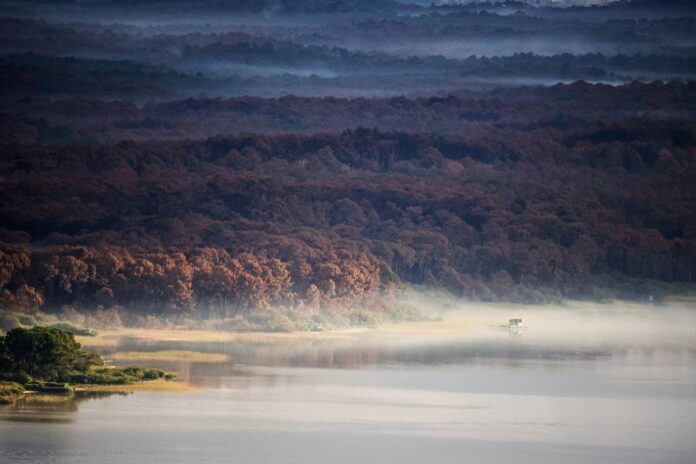 Portugal, France battle big forest fires as mercury soars