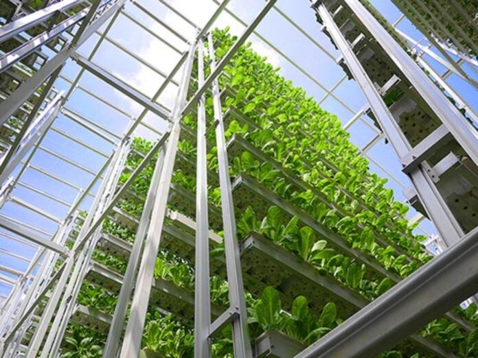 Sarawak explores modern agricultural projects