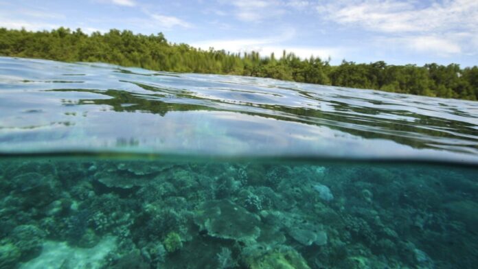 Indonesian islanders sue cement giant Holcim over climate damage