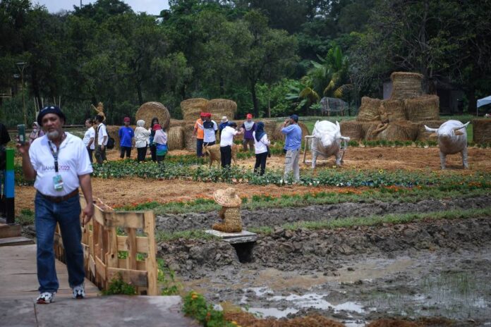 Mardi to showcase technology for commercial vegetable production at Maha 2022