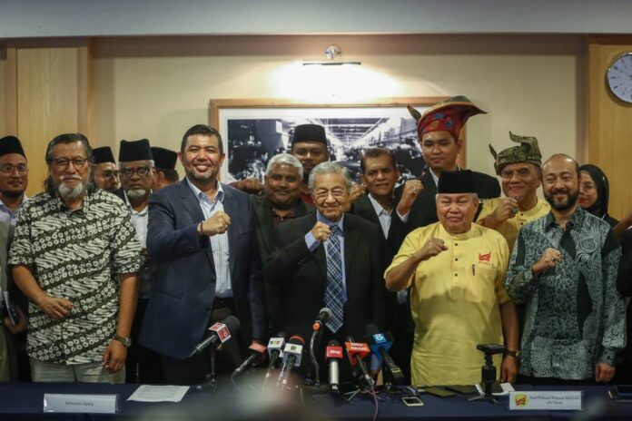 Dr Mahathir: New Malay-Muslim only political coalition 'Gerakan Tanah Air' aims to take on Umno