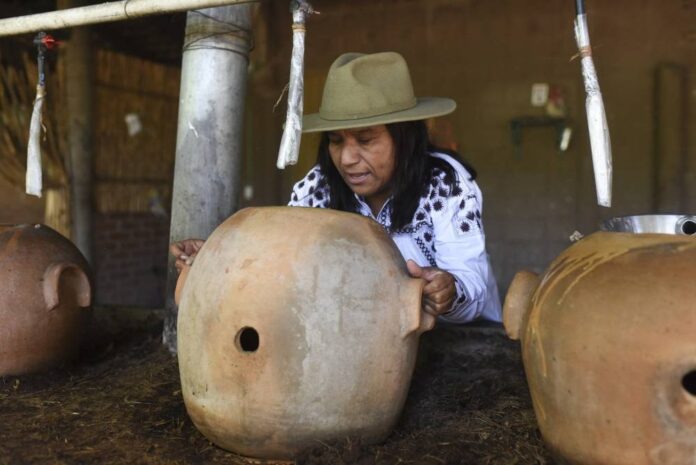 Craft distillers fear mezcal will become victim of own success