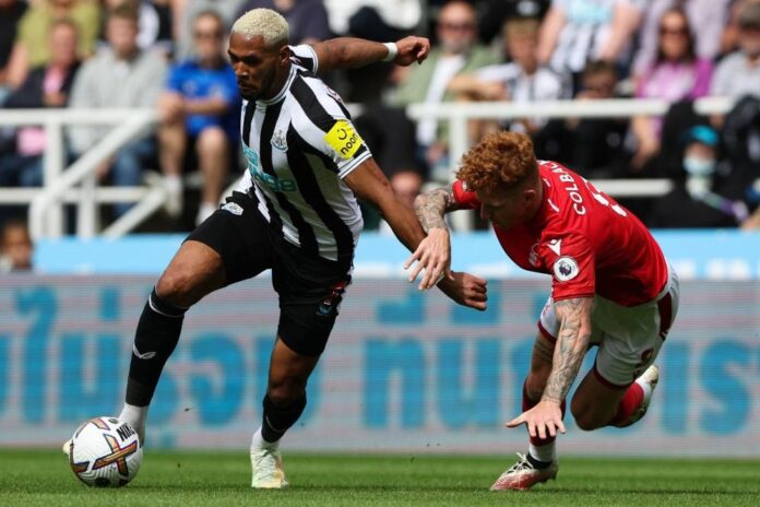 Liverpool stumble, Spurs shine on Premier League's opening weekend