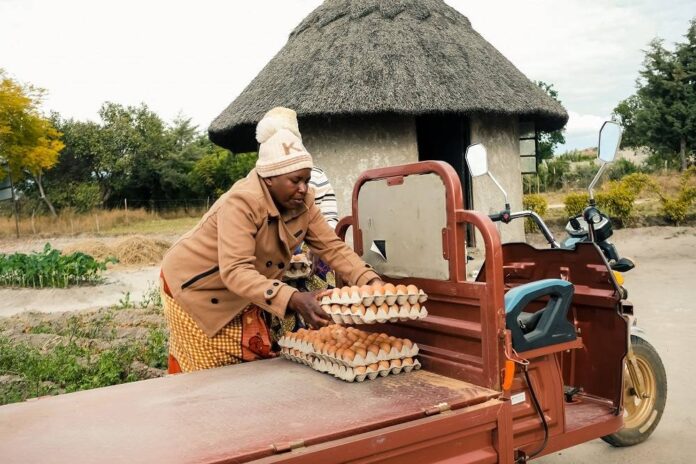 Solar electric tricycles give Zimbabwean women a lift