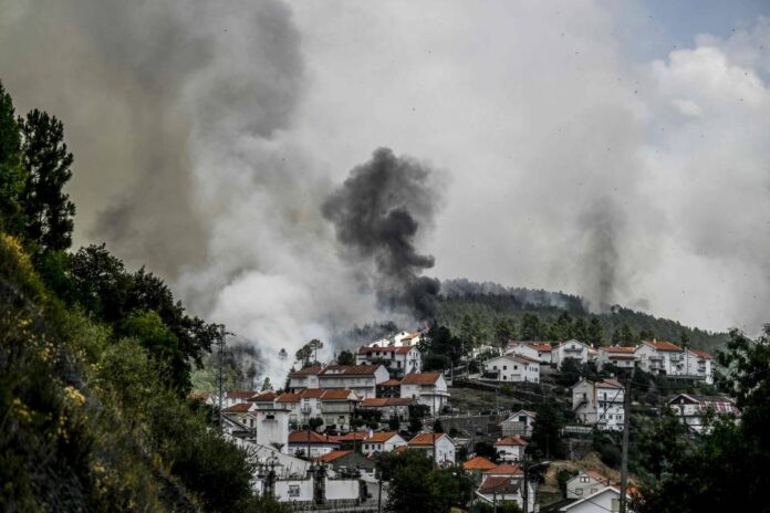 Arson suspected as huge French wildfire reignites