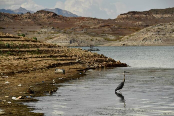 US cuts water supply for some states, Mexico as drought bites