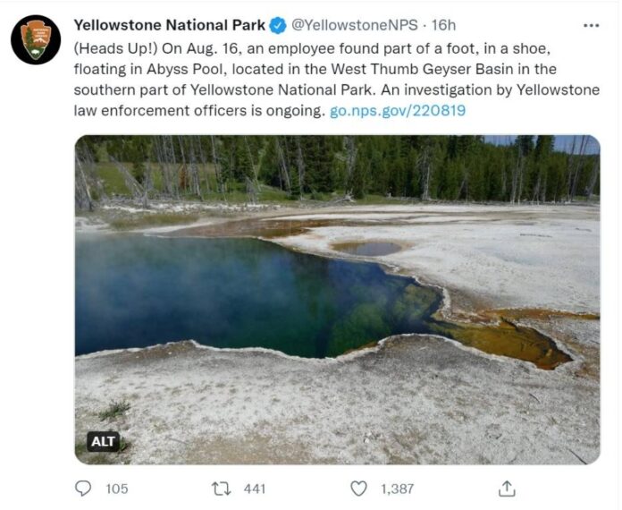 Human foot found in Yellowstone hot spring