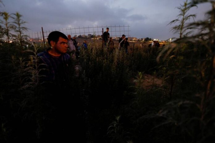 Palestinians working in Israel strike over demand for bank accounts