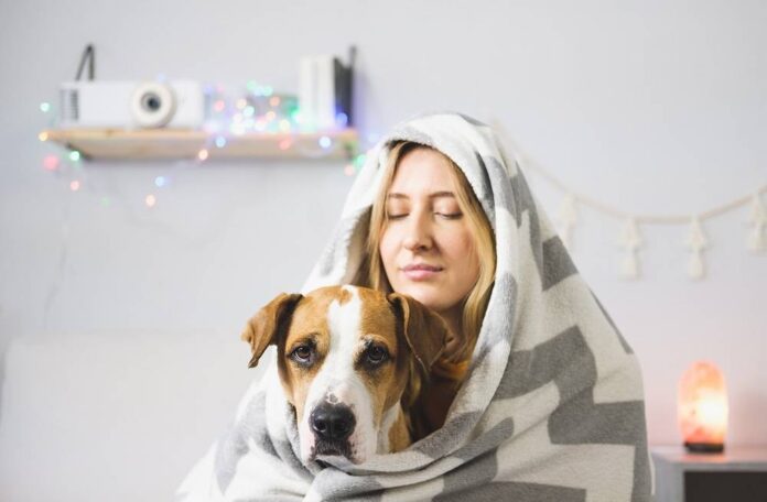 Cynotherapy: When dogs help the healing process