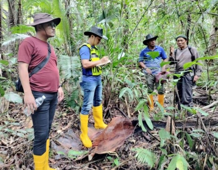 Man in Sarawak dies after friends accidentally shoot him while hunting in jungle