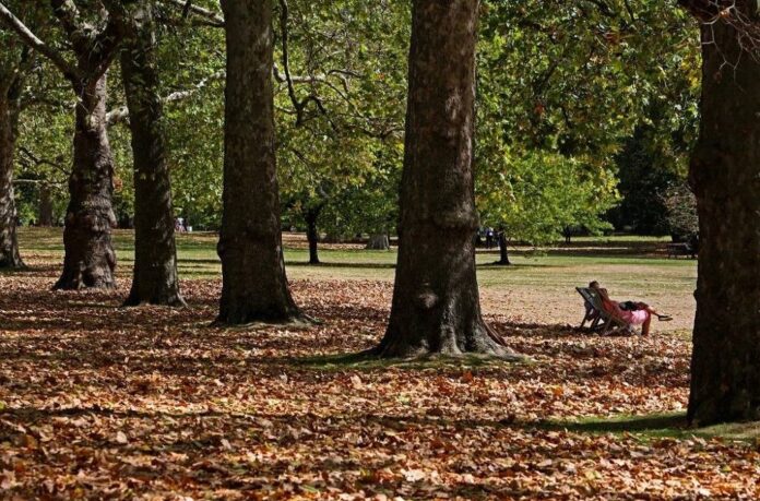 Heatwave triggers 'false autumn' in UK