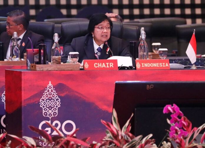 G20 host Indonesia urges cooperation to tackle global climate issues