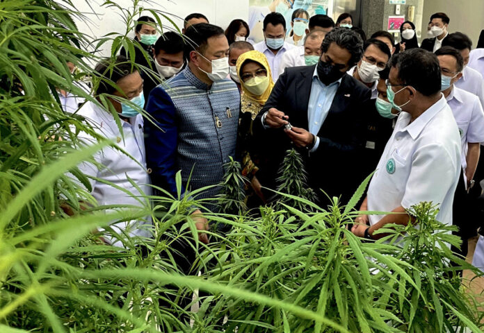 Khairy: No recreational use of cannabis in Malaysia