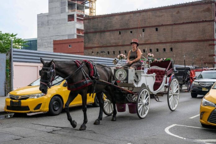 End of the road for New York's horse-drawn carriages?