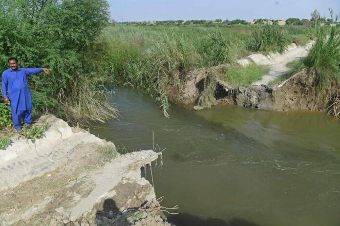 'We've gone back 50 years': Pakistan farmers count flood damage