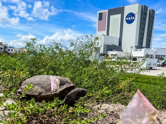 Nasa will not try new Moon rocket launch attempt in coming days