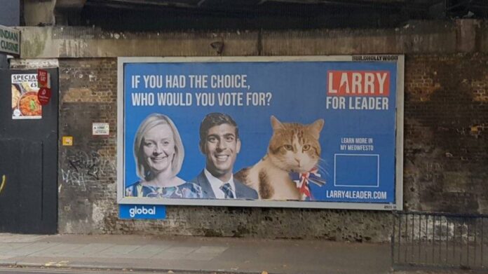 Larry the cat launches 'campaign' to be UK's next PM
