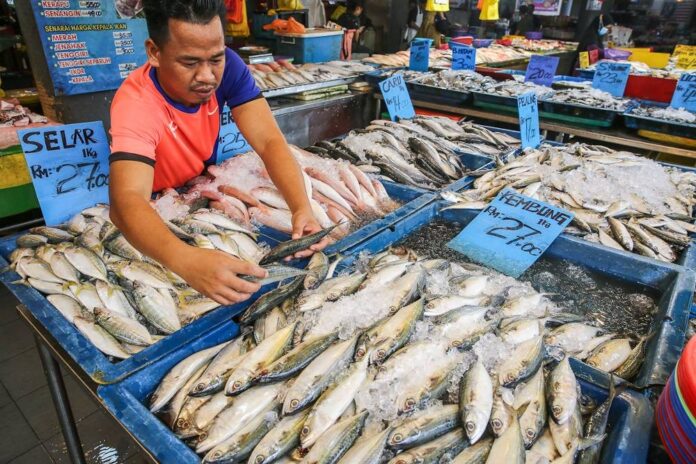 'Ikan kembung': How the climate crisis is feeding Malaysia's fish shortage