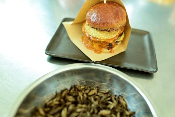 Thai pop-up wins fans with crunchless cricket burgers