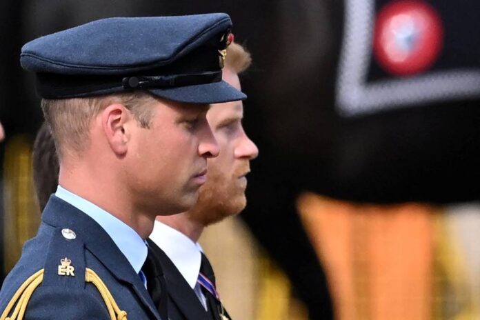William and Harry walk together behind a loved one's coffin, again