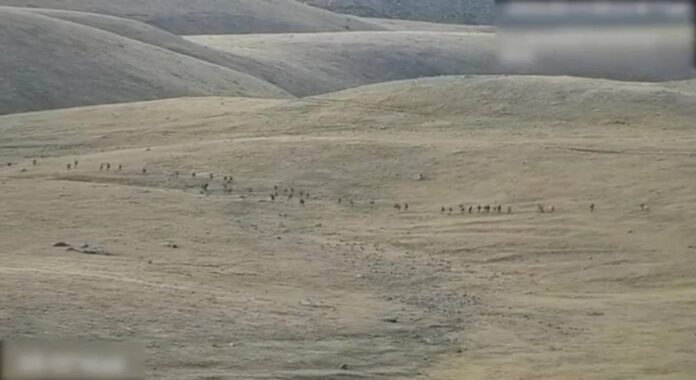 Armenia reports truce after new clashes with Azerbaijan
