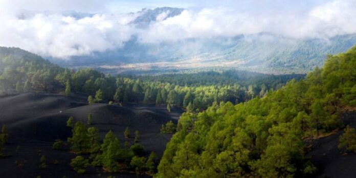 'Like a new planet': Volcano draws visitors to Spanish isle