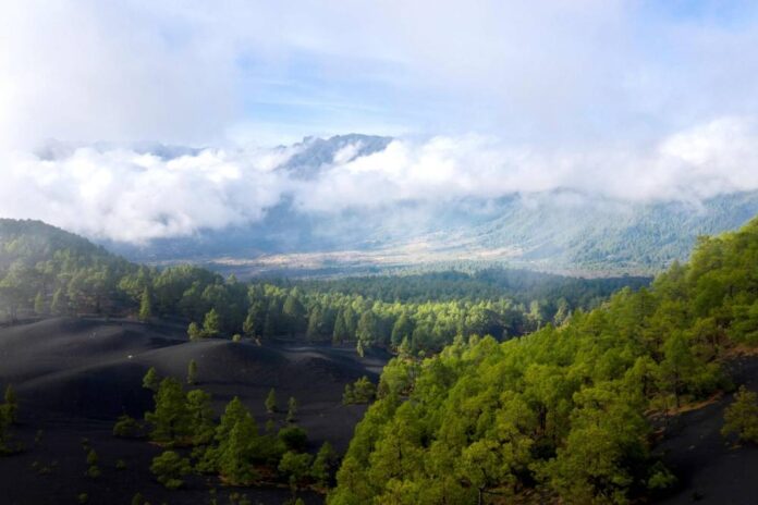 'Like a new planet': Volcano draws visitors to Spanish isle