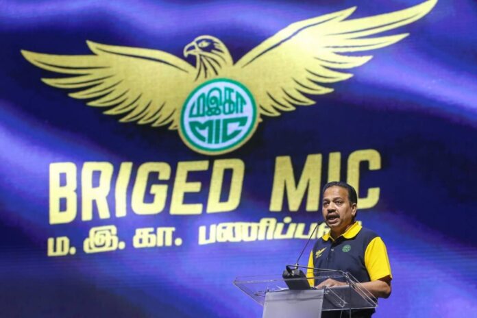 Indian youths have right to bright future, says MIC chief