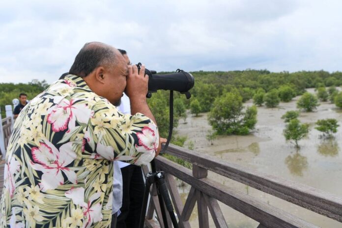 Migratory Birds @ Tanjung Piai has potential to become tourist attraction, says Tourism Johor