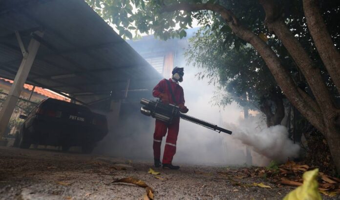 Penang sees 93pc hike in dengue cases, says state Health director