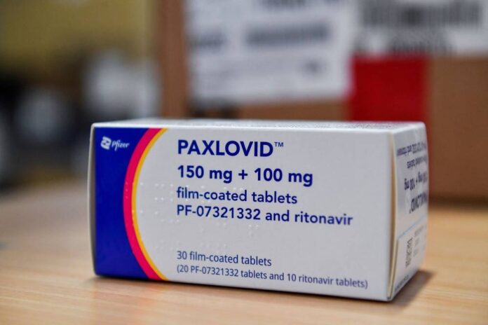 Covid rebound after Pfizer's Paxlovid treatment likely due to robust immune response, study finds