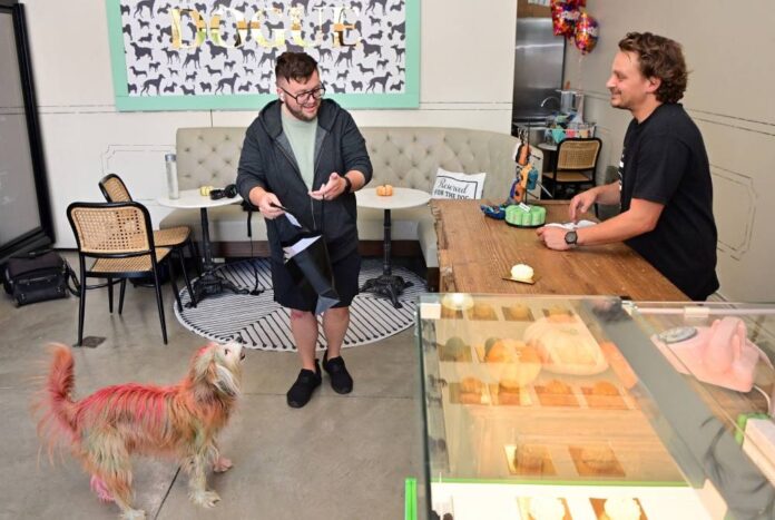 Haute-dog cuisine: US restaurant caters to canine gourmets