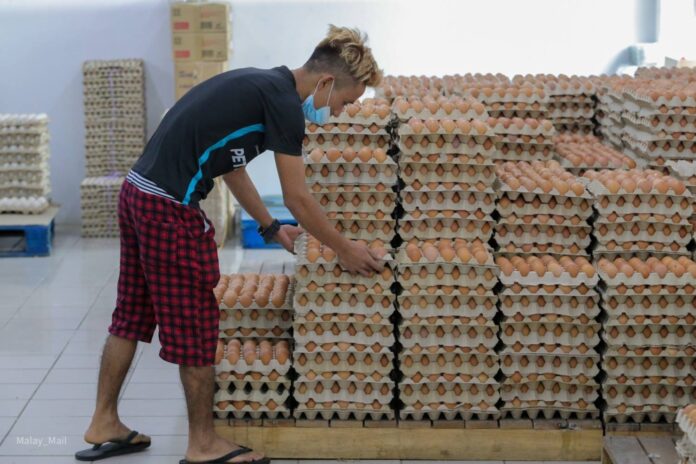Shortage of egg supply due to rising costs of operation, will be corrected with subsidies, says minister
