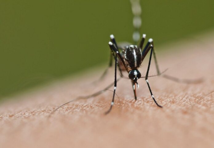 Sabah Health Dept: 20 dengue hotspots detected in state