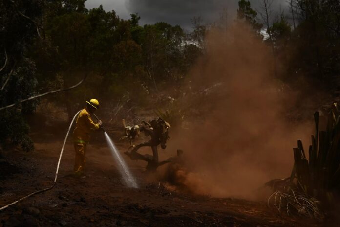 Hawaii fire death toll hits 99, may double, warns governor