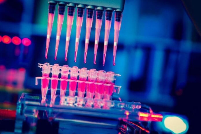 Chemistry Dept: Blood samples of suspected Gombak food poisoning victim being analysed