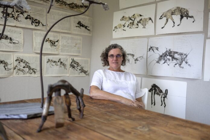 Normalising otherness: South African artist uses eco-queer art to redefine perceptions of hyenas
